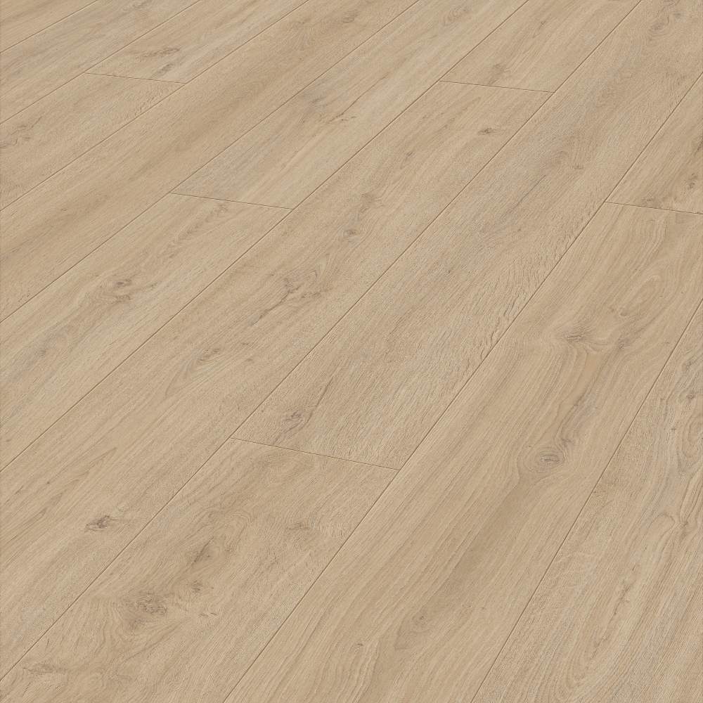 MEISTER LL150 ROBLE ROCA ARENA 07122