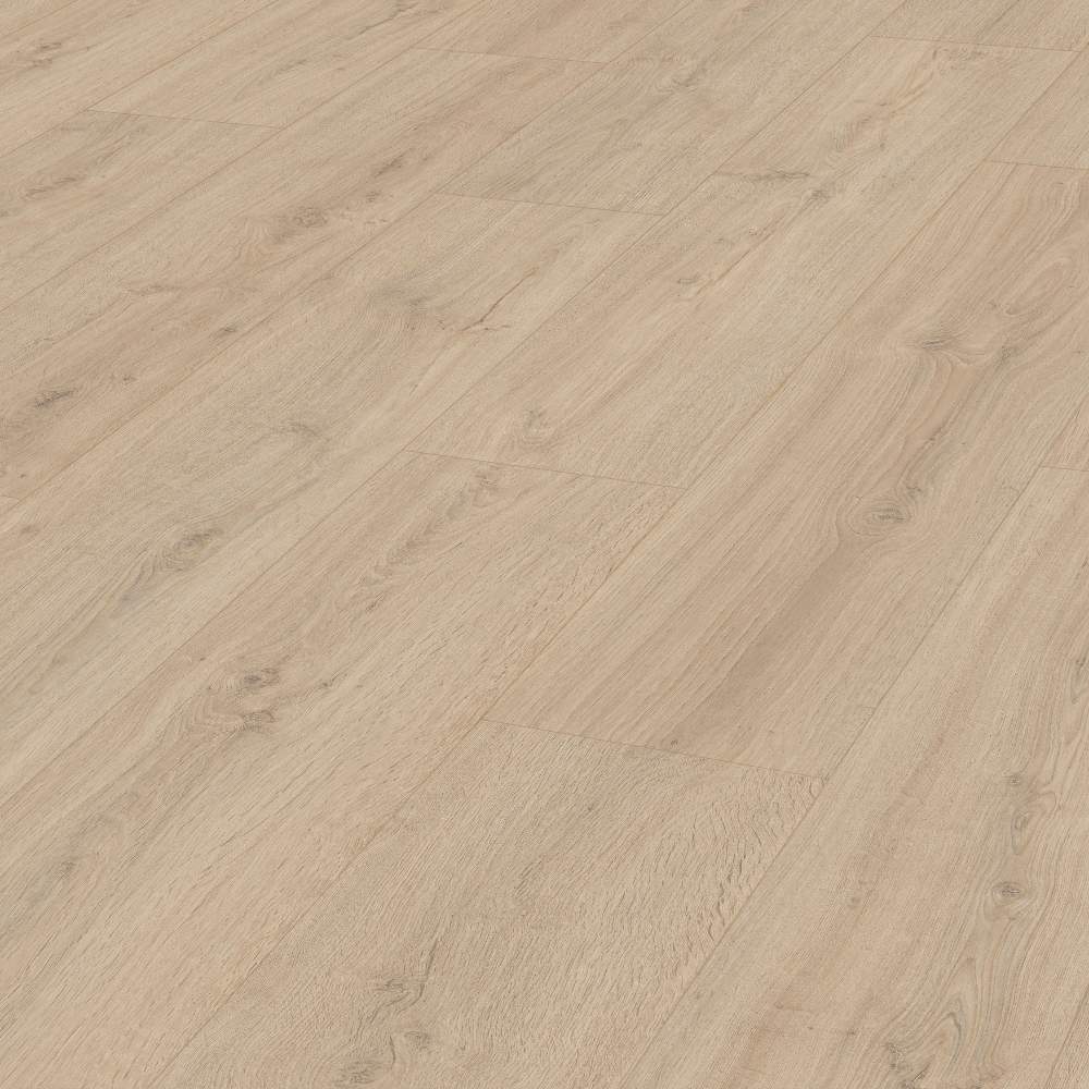 MEISTER LD200 ROBLE ROCA ARENA 07122